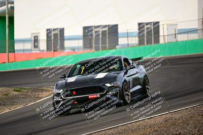 media/Feb-25-2024-Speed Ventures (Sun) [[b9a2a97a4d]]/Mustang Drivers Club/Session 1 (Turns 4 and 5)/
